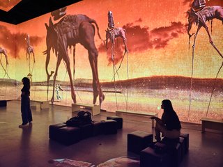 galleryImage